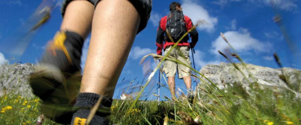 Lorem ipsum dolor sit amet Lorem ipsum dolor sit amet